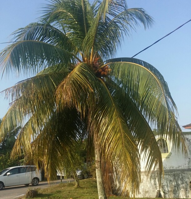 上海交友群之疯花雪月