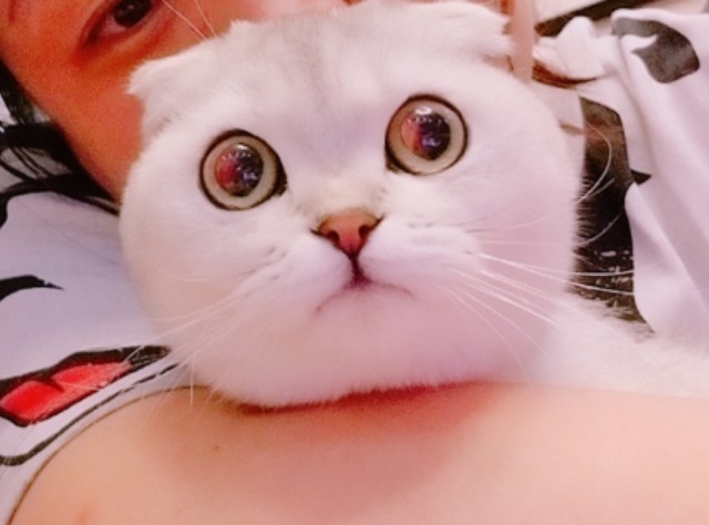 昆明王者!LOL!吃鸡!